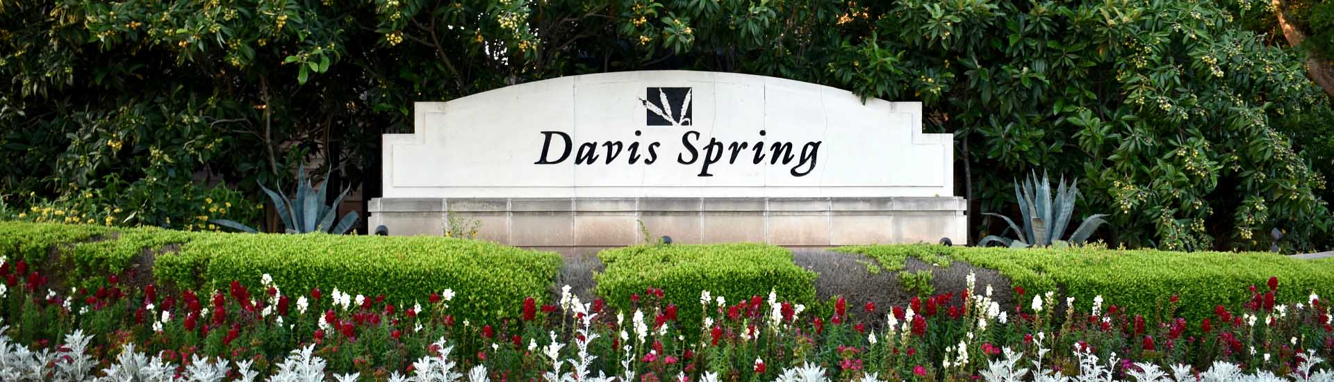 Davis Spring Neighborhood